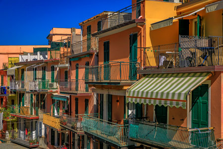 Traditional colorful houses on a narrow street in old town of Manarola in Cinque Terre on the...