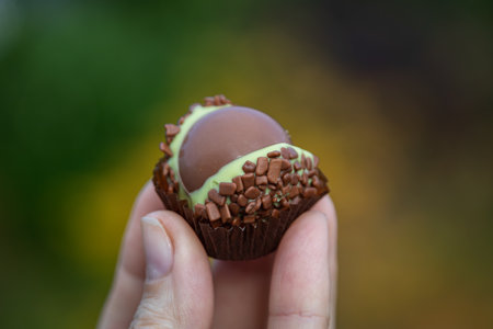 A package of fresh gourmet artisanal chestnut praline chocolates, seasonal specialty made only in...