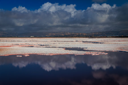Pink salt flats at Alviso Marina County Park, San Jose, California. Vibrant hues from Dunaliella...
