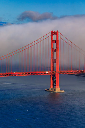 View of the Golden Gate bridge in clear blue sky with green grass as foreground and San Francisco skyline in the backgroundの写真素材