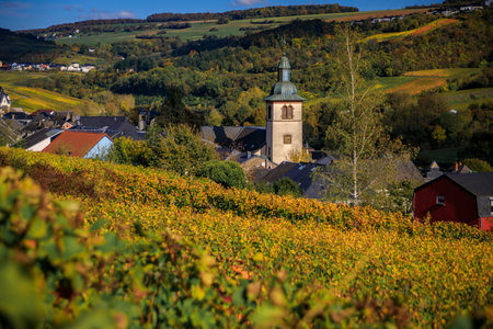 Picturesque Moselle Valley vineyards with autumn colors and a charming church in Wormeldange-Haut, Luxembourg, a renowned wine-producing regionの写真素材