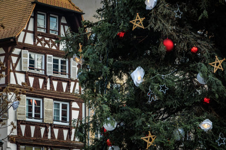 The Great Christmas tree in Place Kleber, Strasbourg, France, the capital of Christmas, with a historic half-timbered house in the backgroundの写真素材