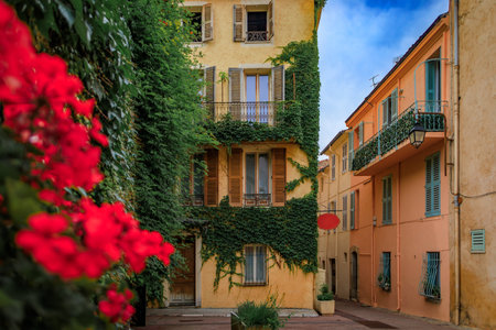 Colorful ivy covered buildings with wooden shutters line a narrow street in Cannes, France, a renowned destination for the annual Cannes Film Festivalの写真素材