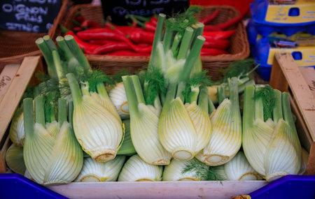 Green fennel bulbs at a vegetable stand in the Cours Saleya provencal farmers market in the Old Town of Nice, South of Franceの写真素材
