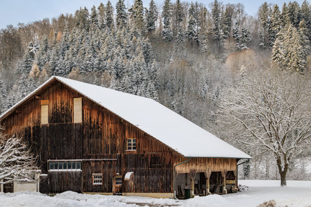 Winter wonderland, a picturesque view of a snow covered traditional wooden barn home by the forest...