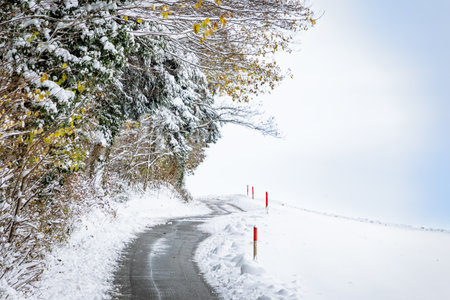 Plowed rural road, cleared from snow in the hamlet of Aeugst am Albis, Switzerland, view after a...