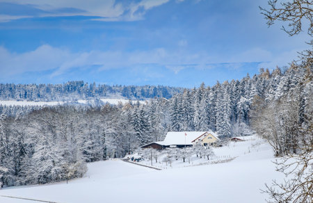 Winter wonderland in Aeugst am Albis, Switzerland, a picturesque view of a snowy forest after a fresh snowfall near Zurichの写真素材