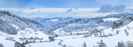 Winter wonderland, snow covered valley in Stallikon, Switzerland, a snowy forest in the morning...