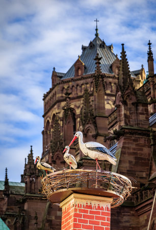 Cozy chalet stall beautifully decorated with a stork nest, a magical scene at the Strasbourg Christmas Market in Franceの写真素材