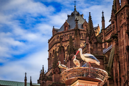 Cozy chalet stall beautifully decorated with a stork nest, a magical scene at the Strasbourg Christmas Market in Franceの写真素材