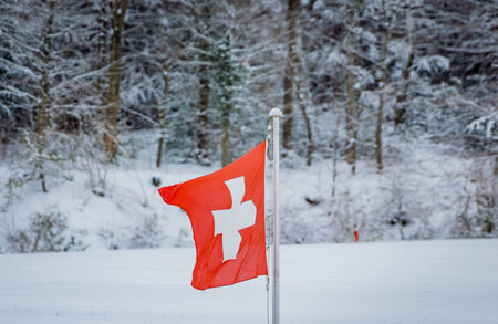 Swiss flag flying on a pole over a snow covered field with a winter forest in Aeugst am Albis, Switzerland, after a fresh snowfall near Zurichの写真素材
