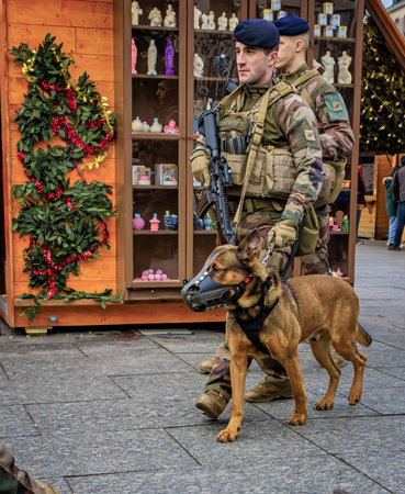 Strasbourg, France - December 13, 2024: French soldiers in full military gear with a working security Malinois dog patrol the busy Christmas marketのeditorial素材