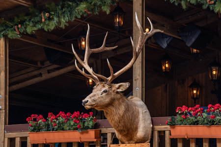 Taxidermy deer head with large antlers at a festive outdoor wooden bar decorated with lanterns and flowers at a Christmas market in Bern, Switzerlandの写真素材