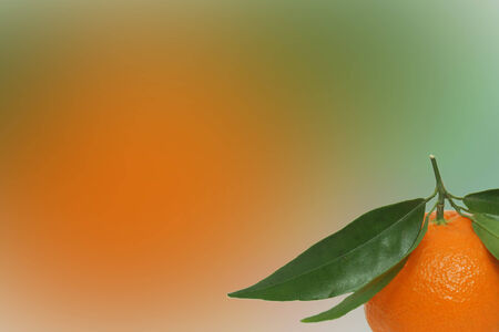 Orange with green leaves in the corner on a bright backgroundの写真素材