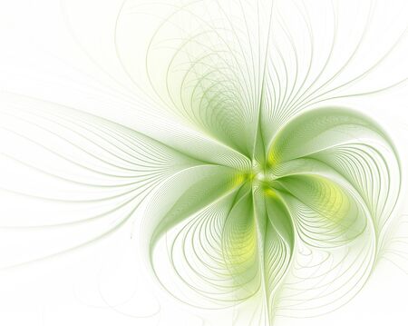 Abstract flower on a white background. Fractalの写真素材