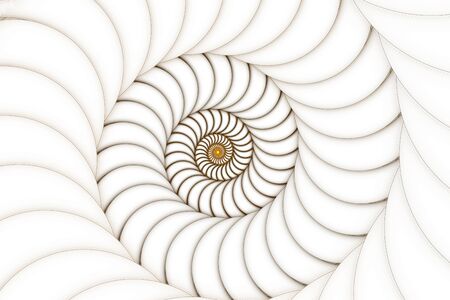 Abstract fractal golden spiral on a white backgroundの写真素材