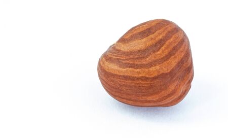 Hazelnut whole kernel close-up on a white background with copy spaceの写真素材