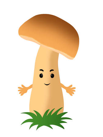 Isolated on white background cartoon white mushroomの写真素材