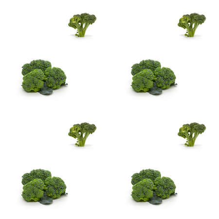 Broccoli cabbage seamless pattern on white backgroundの写真素材