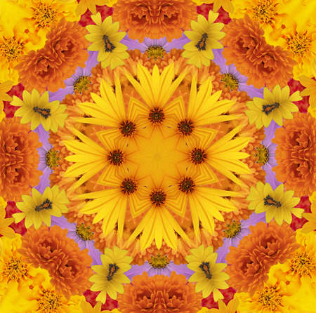 Beautiful circular floral pattern. Kaleidoscopeの写真素材