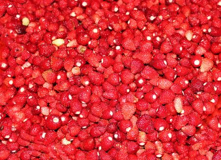 Background, a lot of ripe forest fresh wild strawberries. Bright red ripe strawberry isolated. Seamless texture of juicy strawberries.の写真素材