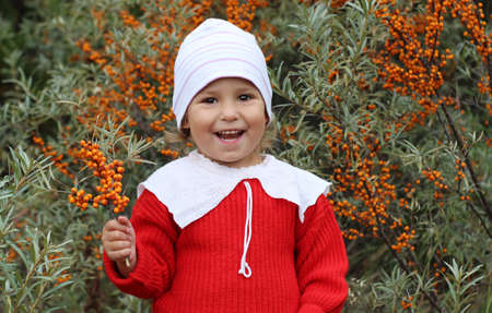 Beautiful little girl in the autumn garden among the bushes with orange berries. A preschool girl in a white hat and a red sweater holds a sea buckthorn branch and smiles cheerfullyの写真素材