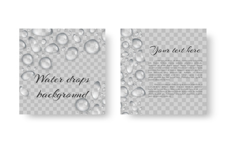 Invitation card template with translucent drops of dewのイラスト素材