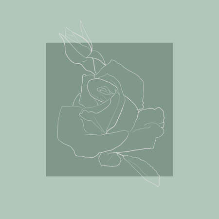 rose in vector line art. hand draw illustrationのイラスト素材