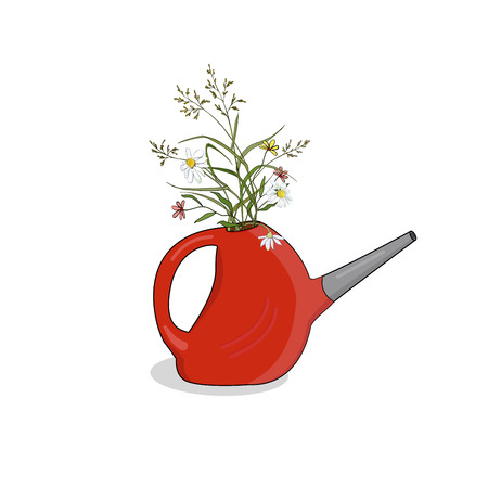 Bouquet of meadow herbs in a red watering can for decor. Vectorのイラスト素材