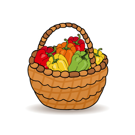 Harvest of red, green, yellow peppers in a wicker basket. Vector illustrationのイラスト素材