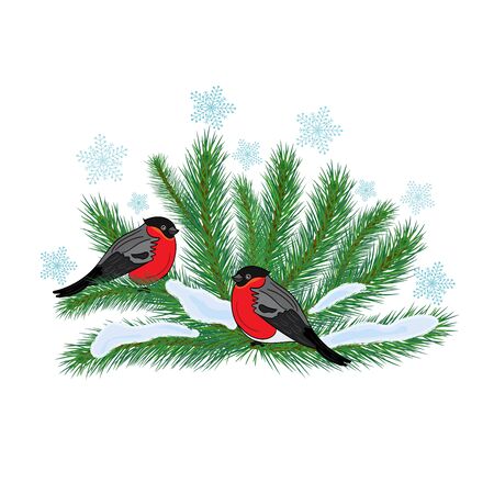 Vectorのイラスト素材