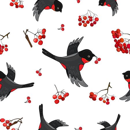 Pattern with flying bullfinches and bunches of mountain ash. Vectorのイラスト素材