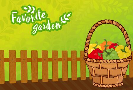 Green background for a garden with a wooden fence and a crop of peppers in a wicker basket. Vector illustrationのイラスト素材