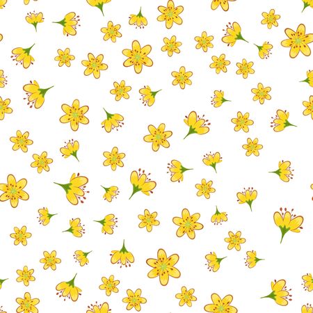 Seamless pattern with yellow hypericum flowers on a white background.のイラスト素材