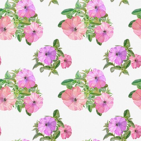 Seamless pattern of watercolor petunia flowers on a white background.の写真素材