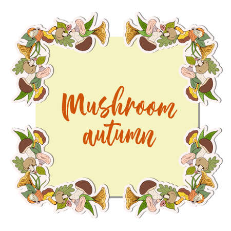 Vector square frame with forest mushrooms to decorate your projects.のイラスト素材