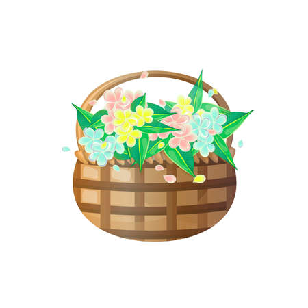 Basket with frangipani flowers of different colors.のイラスト素材