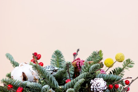 Christmas bouquet with fir tree and dried flowersの写真素材