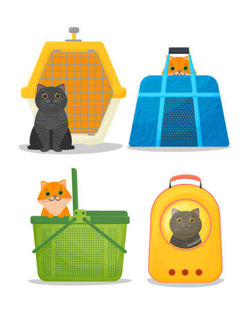 Different cats in carriers. Plastic cage carrier, cloth bag, plastic basket and porthole backpack. Vector illustration isolated on white background.のイラスト素材