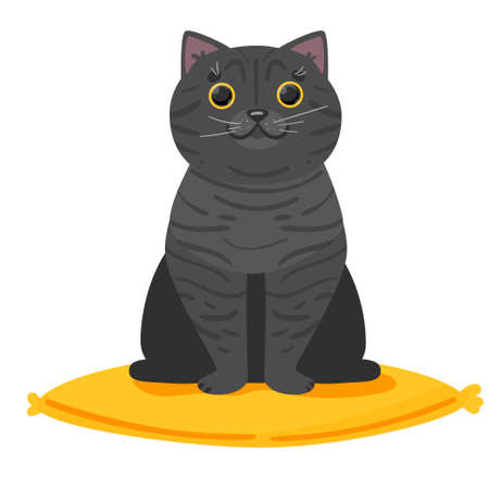 Cute British cat. Beautiful logo for a shop, veterinary clinic, hotel, banners, wb advertising and postcards. Vector illustration isolated on white background. Vector illustrationのイラスト素材