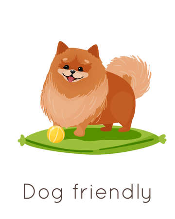 Little pomeranian on a pillow with a toy ball. Beautiful logo for a shop, veterinary clinic, hotel, banners, wb advertising and postcards. Vector illustration isolated on white background.のイラスト素材