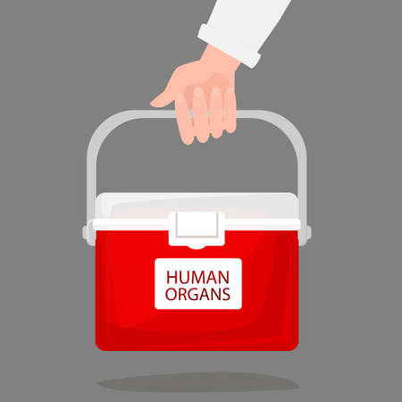 Hand holding portable fridge for transporting donor humans organs. Red cooler shipping box. Human organ for transplant and healthcare concept. Flat vector illustration on white background.のイラスト素材