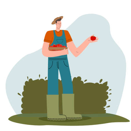 Young farmer with freshly vegetables in a box.Ecological market design for selling agricultural products. Healthy and tasty country products. . Vector illustrationのイラスト素材