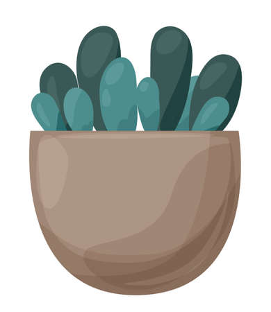 Haworthia Coopers in a pot. Succulent Decorative home plant on a white background. Vector illustrationのイラスト素材