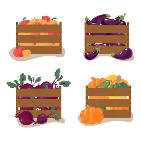 Autumn harvest, boxes of fruits and vegetables. Apples, pumpkin, beets, eggplants. Vector elements isolated on white background.のイラスト素材