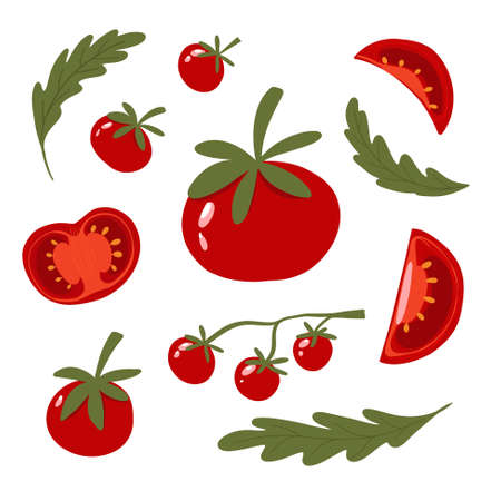 Bright juicy tomatoes of different sizes with leaves, pulp and slices. Vector illustration isolated on a white background. Vector illustrationのイラスト素材