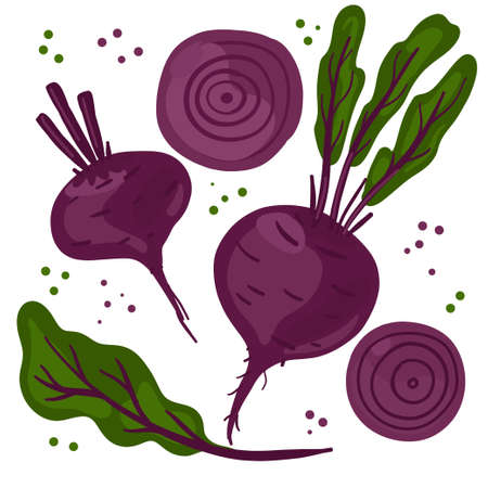 Collection of hand drawn beet. Bundle of fresh delicious vegan diet vegetarian products, wholesome healthy food, cooking ingredients. Flat cartoon style on a white background. Vector illustrationのイラスト素材
