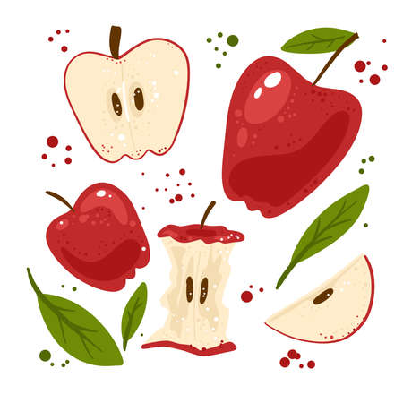 Collection of hand drawn apples. Bundle of fresh delicious vegan diet vegetarian products, wholesome healthy food, cooking ingredients. Flat cartoon style on a white background. Vector illustrationのイラスト素材