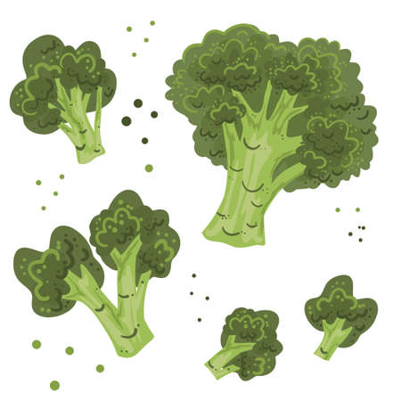 Collection of hand drawn broccoli. Bundle of fresh delicious vegan diet vegetarian products, wholesome healthy food, cooking ingredients. Flat cartoon style on a white background. Vector illustrationのイラスト素材