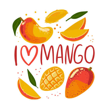 The inscription I love mango. A collection of different types of mango. Ingredients for cooking. Vegan print. Vector hand-drawn illustration. Frame with vegetables. Vector illustrationのイラスト素材